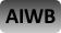 AIWB holster