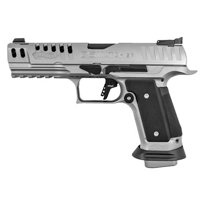 handgun model